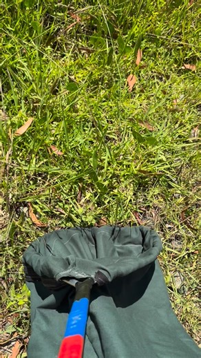 Do you have any questions for me? Ask below! But here’s a few answers to get started. It’s a Red Bellied Black Snake. It’s Dangerously Venomous. This is a native Australian Snake And it is illegal to catch, relocation, harm and kill Australian wildlife, including our reptiles. Your turn! For advice or relocations, save my number! Snake Catcher Bronte 0404 939 896 | Snake Catcher Bronte