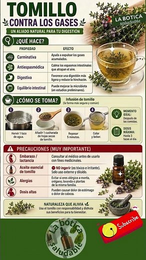 Tomillo: lo que no sabías de esta planta milagrosa #saludnatural #remedios