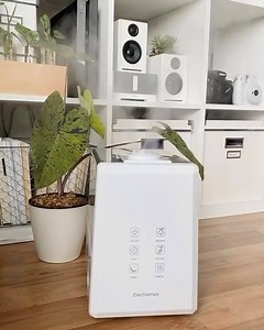 Cool and warm mist humidifier | Elechomes