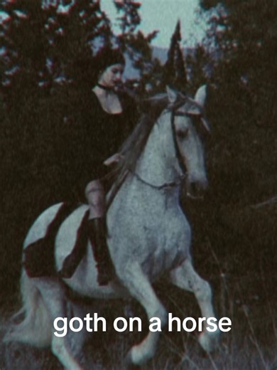 goth horses=👩‍🍳💋 #gothstyle #gothicstyle #goth #horses #horse #gelding #greyhorse