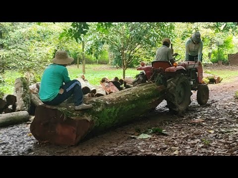 The 15 horsepower tractor pulls huge logs and runs incredibly strong.