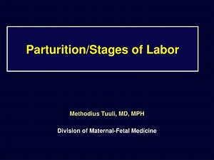 Parturition/Stages of Labor - SlideServe