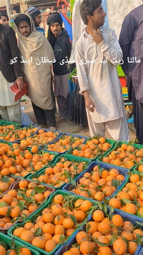 Understanding Orange Rates in Layyah City