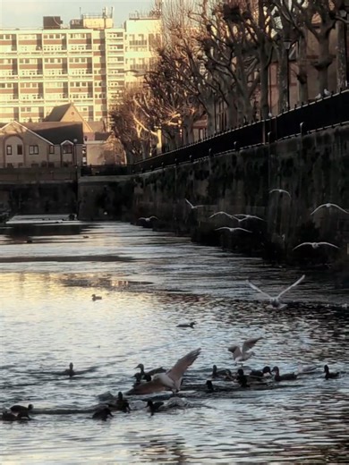 Entry 004: The Postcode Gravity. 📍 ​That specific pull of the old ends is real. For us elder folks, the only curfew we ever knew was the streetlights turning on. 💡 ​📝 Note to self: Honour where you came from. But focus on where you are going. ​#TheDailyDescent #PostcodeGravity #LondonLife #Nostalgia #muslimdad