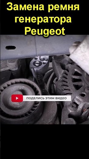 Peugeot alternator belt