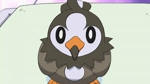 Watch Pokemon Season 10 Episode 1 - Following a Maiden's Voyage