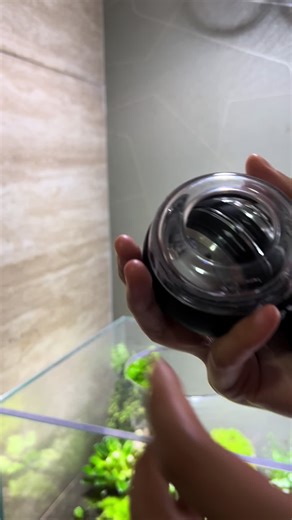 Wrist Trainer Ball#Home #exercise #gym #workout #adjustable #homegym #ball #fyp