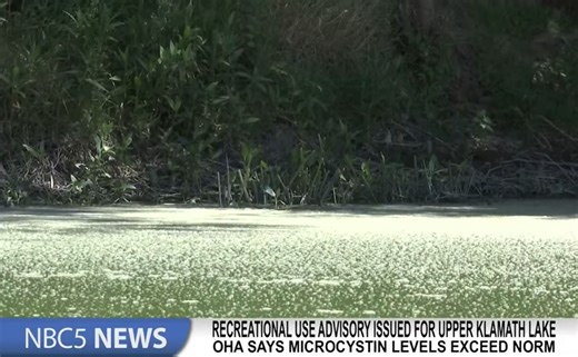 Recreational use advisory issued for Upper Klamath Lake - KOBI-TV NBC5 / KOTI-TV NBC2