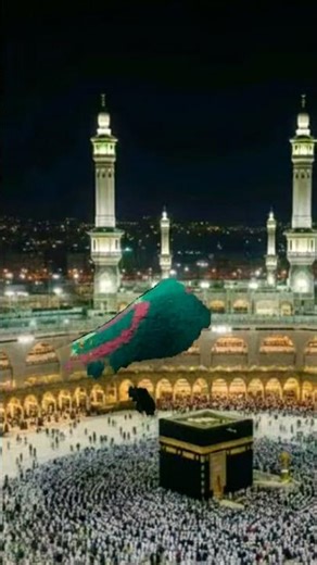 #allbayan #bayan #islamicquotes