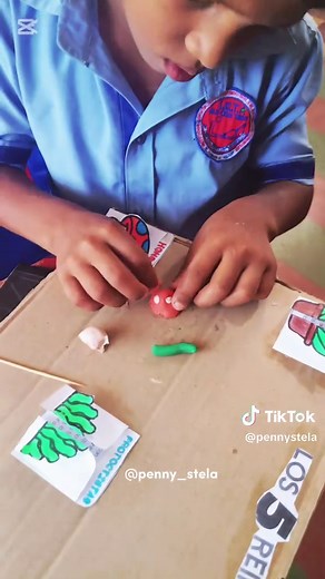 Actividad lúdica en Ciencias Naturales sobre los reinos