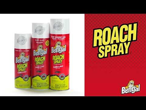 Bengal Roach Spray - How to Use