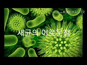 세균의 이로운점