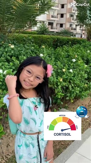 Understanding Cortisol and Its Effects on Health