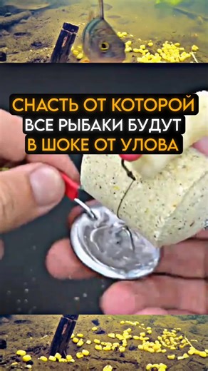 Снасть от которой даже рыбаки будут в шоке #карась #fishing #рыбалка | рибалка