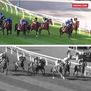251K views · 2.2K reactions |  Via Sistina v Winx  Their two Cox Plate track records side-by-side is incredible viewing  | Racing.com | Facebook
