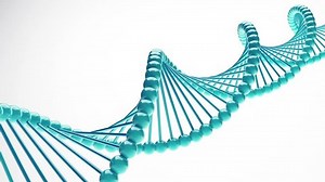 DNA Close-up