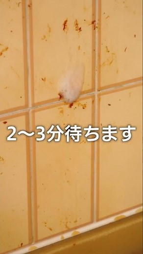 油汚れ落とし／商品紹介動画｜サニクリーン