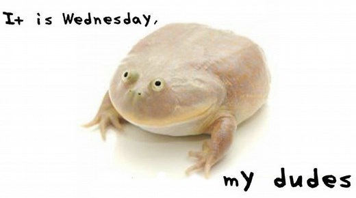 What Is The 'It Is Wednesday My Dudes' Meme? The Weekly Budgett's Frog Trend And Catchphrase Explained