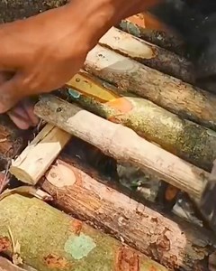 Insect Infestation on the Ground How We Handled It | متنزه مدينة الضباب