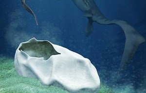 Humongous Fossil Egg From 48 Million Years Ago Found In Antarctica