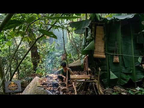 Survived 24H Alone: Building a Primitive Shelter & Finding Food.| Bushcraft