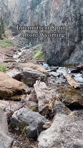 Visit Afton, Wyoming on Instagram: "Afton’s Intermittent Spring is a must-see wonder! Watch it vanish and return in a flash—it’s pure magic. ✨ Have you witnessed the spring in action? Tell us what you saw in the comments!"