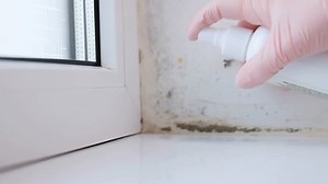 Solutions for Damp Walls: Prevent and Fix Moisture Issues