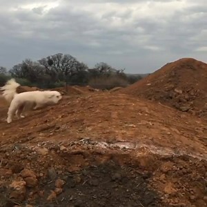 193K views · 2.7K reactions | sliding through the week like | theCHIVE | Facebook