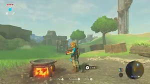 700K views · 8K reactions | Here's a quick look at cooking in Zelda: Breath of the Wild! #E32016 | IGN | Facebook