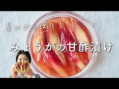 [Refreshing and delicious!] Recipe for pickled myoga ginger