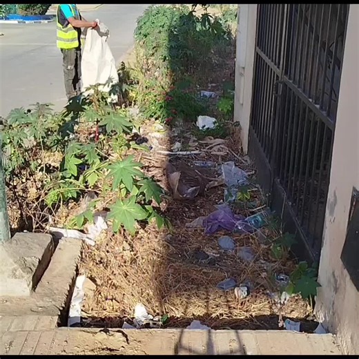 You're coming with me as I clean this very overgrown backyard in just under 1 minute #cleaning #grass #dirt