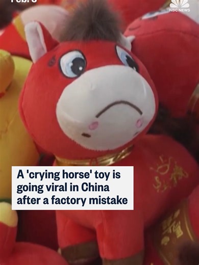 Stitching Mistake Creates Adorable Plush Toy Error