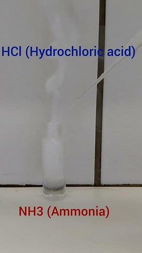 HCl (Hydrochloric acid) + NH₃ (Ammonia) =
