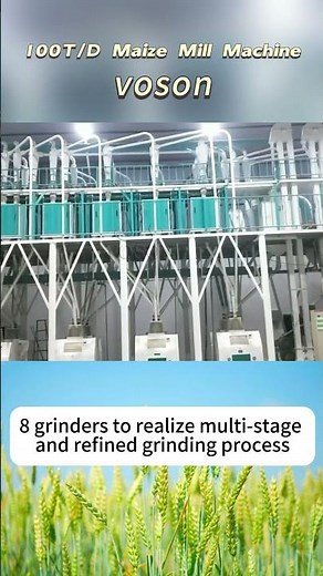 100TPD Corn Milling Plant | Turnkey Maize Flour Mill by Voson Machinery