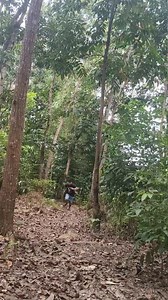 Paksiw irong boang😂😂😂 #everyonefollowers | Danny Jhun Ybarrita