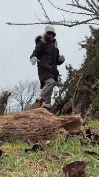 Bushcraft Teepee! A fallen spruce and a little magic, leveling up our bushcraft teepee ✨ #bushcraft