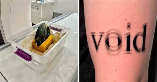 50 Interesting Facts And Stories From Around The World, Backed Up By Pics To Prove Them (New Pics)