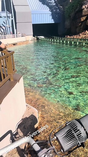 Nelson Morales Jimenezz (@nelsonmoralesjimenez1974)’s videos with Are You Ready - Deejay Meddy