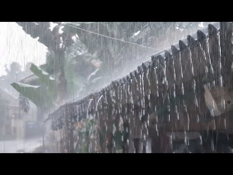 Tropical Rain on Village House Roof 🌧️ Deep Relaxation & Sleep