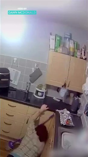 Kitchen Ladder Collapse😨