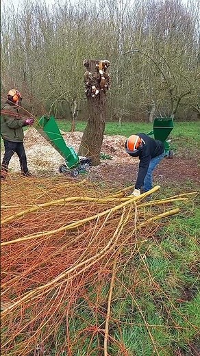 Hansa chipper's doing their thing, Hansa C5 and C7, processing the waste into useful chip #chippers