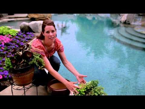 Ready Refill from Lowe's