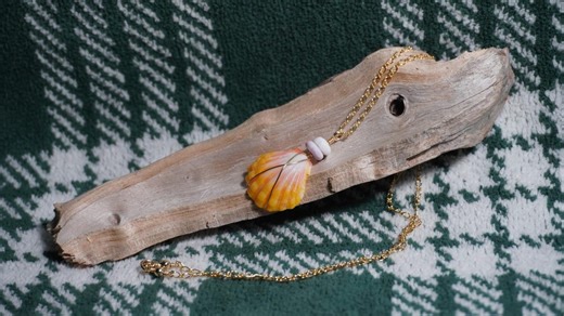 Sunrise Shell Necklace, 14k Gold Fill Chain, Hawaiian Ocean Jewelry - Etsy