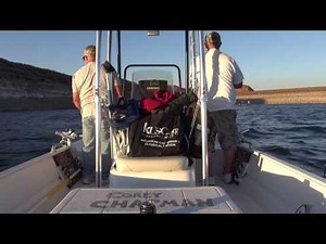 Fishing Diamond Valley Lake Striped Bass The Reel Brothers Presents