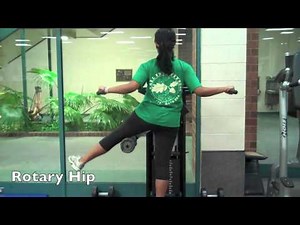 Rotary Hip/ Rotary Hip Machine