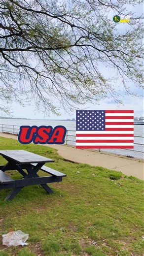 Beautiful USA Views 🇺🇸 | Random Street Scenes & Sea Views #newyork #seabeach #shortsvideo