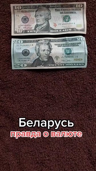 US Currency Display: Exploring Denominations and Value