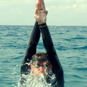 FYI: Michael Phelps is racing a damn shark. | Thrillist