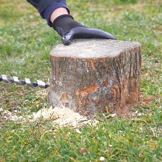 Here's how you can remove a tree stump from your backyard!🔥 | 5-Minute Crafts