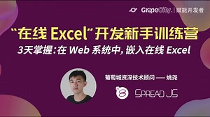 推动自主可控的国产办公信息化系统搭建，暨 SpreadJS 表格组件入门（三）